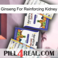 Ginseng For Reinforcing Kidney 12